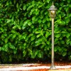 Antibes Buiten staande lamp Bruin, Goud, 1-licht