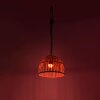 Leuchten Direkt DAVID Hanglamp LED Bruin, 1-licht, Afstandsbediening, Kleurwisselaar