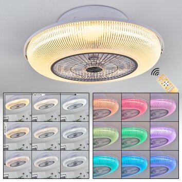 Riccione plafondventilator LED Wit, 1-licht, Afstandsbediening, Kleurwisselaar