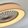Moli plafondventilator LED Grijs, Wit, 1-licht, Afstandsbediening