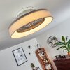 Moli plafondventilator LED Grijs, Wit, 1-licht, Afstandsbediening