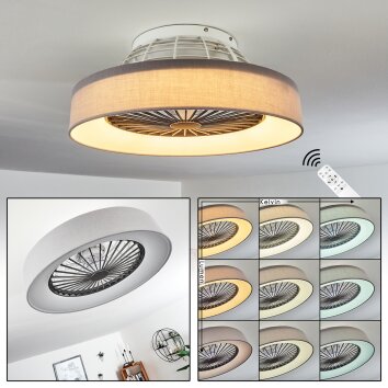 Moli plafondventilator LED Grijs, Wit, 1-licht, Afstandsbediening