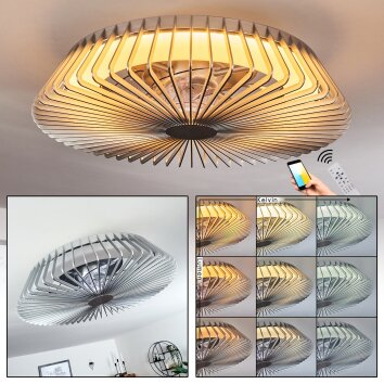 Rivarotta plafondventilator LED Wit, 1-licht, Afstandsbediening