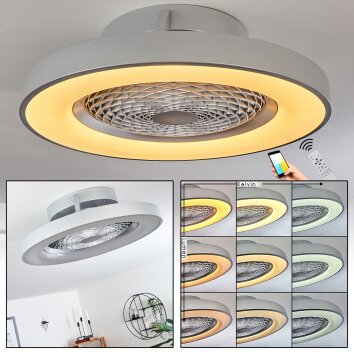 Penon plafondventilator LED Zilver, 1-licht, Afstandsbediening
