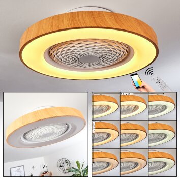 Penon plafondventilator LED Wit, 1-licht, Afstandsbediening