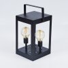 Sciolze Solarlamp Zwart, Transparant, Helder, 2-lichts