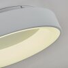 Pine Plafondlamp LED Wit, 1-licht