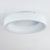 Pine Plafondlamp LED Wit, 1-licht
