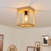 Torreglia Plafondlamp Bruin, Zwart, 1-licht