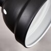 Tita Plafondlamp Zwart, 3-lichts
