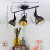 Osina Plafondlamp Zwart, 3-lichts