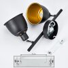 Pistrino Plafondlamp Chroom, Zwart, 2-lichts