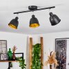 Pistrino Plafondlamp Chroom, Zwart, 3-lichts