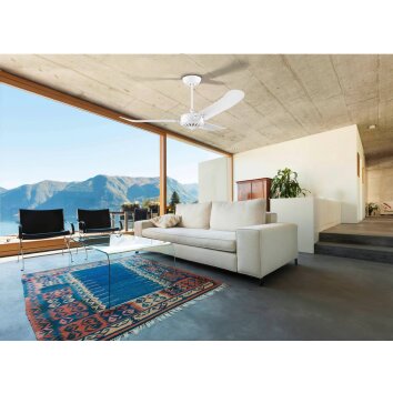 Eglo HOI AN plafondventilator Wit, Afstandsbediening