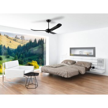 Eglo HOI AN plafondventilator Zwart, Afstandsbediening