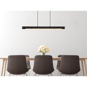 Globo FELICITAS Hanglamp LED Nikkel mat, Zwart, 1-licht