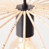 Brilliant Malty Hanglamp Zwart, 1-licht
