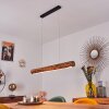 Merlengo Hanglamp LED Zwart, 1-licht