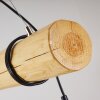 Canedo Hanglamp Bruin, 5-lichts
