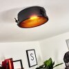 Nordslesvig Plafondlamp Goud, Zwart, 1-licht