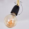 Musland Plafondlamp Goud, Zwart, 3-lichts