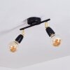Musland Plafondlamp Goud, Zwart, 2-lichts