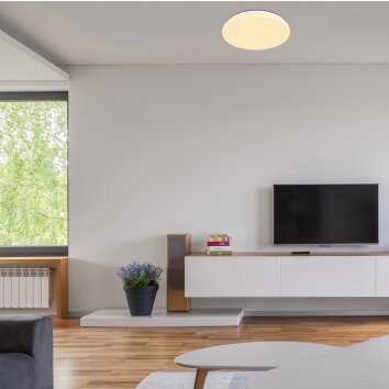 Globo HUBERT Plafondlamp LED Wit, 1-licht