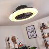 Pireaus plafondventilator LED Zwart, 1-licht, Afstandsbediening, Kleurwisselaar
