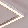 Omega Plafondlamp LED Nikkel mat, 1-licht