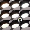 Tjerne plafondventilator LED Zwart, 1-licht