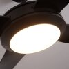 Tjerne plafondventilator LED Zwart, 1-licht