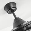 Tjerne plafondventilator LED Zwart, 1-licht, Afstandsbediening