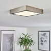 Fnsrud Plafondlamp LED Nikkel mat, 1-licht