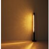 Globo FELICITAS Staande lamp LED Nikkel mat, Zwart, 1-licht