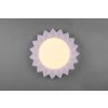 Reality Sunflower Plafondlamp LED Wit, 2-lichts, Afstandsbediening, Kleurwisselaar