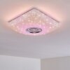 Lovisa Plafondlamp LED Chroom, Wit, 1-licht, Afstandsbediening, Kleurwisselaar