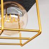 Fevaag Plafondlamp Goud, Zwart, 2-lichts