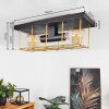 Fevaag Plafondlamp Goud, Zwart, 2-lichts