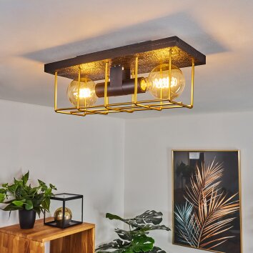 Fevaag Plafondlamp Goud, Zwart, 2-lichts