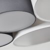 Trisett Plafondlamp Grijs, Zwart, Wit, 5-lichts