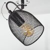 Hakvaag Plafondlamp Bruin, Zwart, 4-lichts