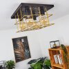 Fevaag Plafondlamp Goud, Zwart, 4-lichts