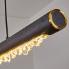 Rodeche Hanglamp LED Zwart, 1-licht