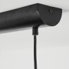 Rodeche Hanglamp LED Zwart, 1-licht