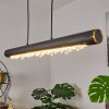 Rodeche Hanglamp LED Zwart, 1-licht