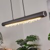 Rodeche Hanglamp LED Zilver, 1-licht