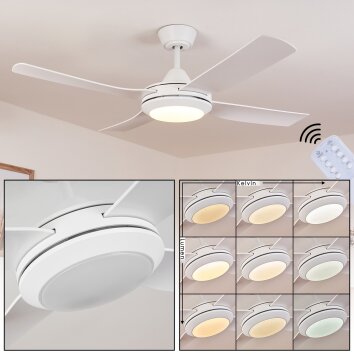 Tjerne plafondventilator LED Wit, 1-licht, Afstandsbediening