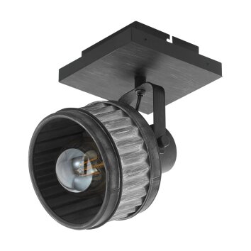 Eglo-Leuchten TURROCK Plafondlamp, 1-licht