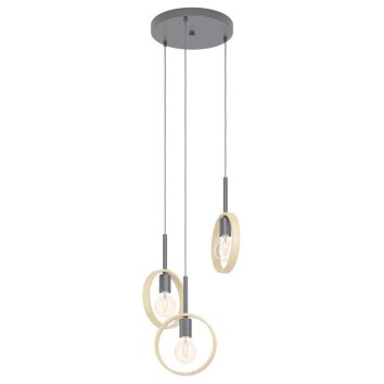 Eglo-Leuchten IPSDEN Hanglamp Zwart, 3-lichts