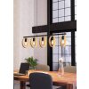Eglo-Leuchten IPSDEN Hanglamp Zwart, 5-lichts